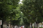 D2009090_001H
