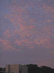 C20090710_112V