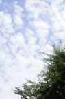 D2009093_015V