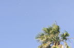 D2009096_012H