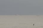 D2009100_042H