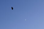 D2009103_019H