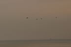 D2009105_110H