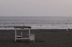 D2009105_144H