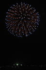 D2009108_287V