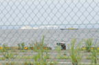D2009110_058H