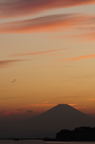 D2009112_156V