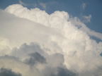 C20090825_013H