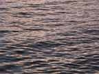 C20090825_066H