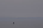 D2009118_025H