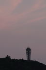 D2009118_032V