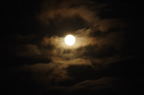 D2009119_002H