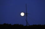 D2009119_009H