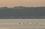 D2009123_054H