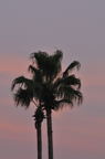 D2009123_067V