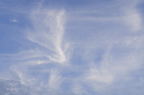 D2009124_029H