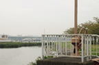 D2009125_013H