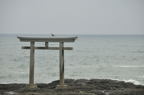 D2009126_059H