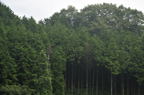 D2009127_019H