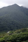 D2009129_039V
