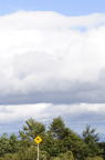 D2009129_065V