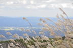 D2009129_076H