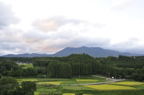 D2009129_141H