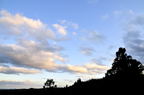 D2009129_153H