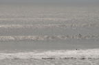 D2009131_011H
