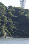 D2009132_040V