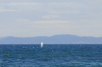 D2009139_009H