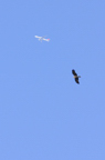 D2009140_040V