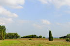 D2009143_042H
