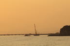 D2009146_007H