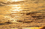 D2009146_008H