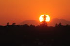 D2009146_044H