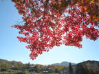 C20091015_007H