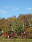 C20091015_015V