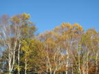 C20091015_026H