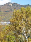 C20091015_037V