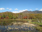 C20091015_047H