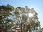 C20091015_052H