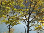 C20091015_075H