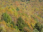 C20091015_104H