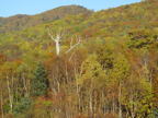 C20091015_105H