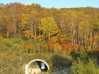 C20091015_113H