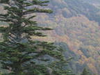 C20091015_121H