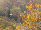 C20091015_130H