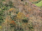 C20091021_014H