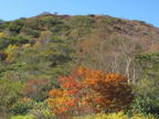 C20091021_056H